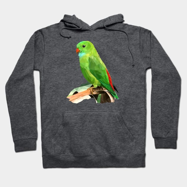 Parrot LowPoly Hoodie by Bullfinch family